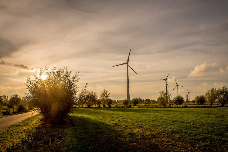 Вятърните централи могат да станат водещ източник на електроенергия в Европа